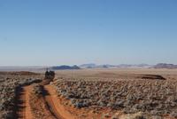 Landschaftsfahrt am Abend 