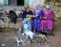 Für reichen Kindersegen