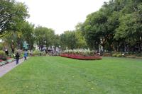 Joan of Arc Garden 3