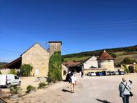 Das Weingut 