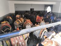 Typische Transportmittel