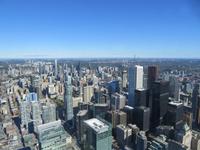Blick vom CN Tower