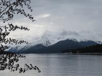 IMG_0551