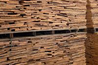 P1220337,Korkeichenfabrik (2)