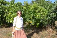 P1220472,Orangenplantage (5)