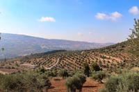 052 – Ajlun, Festung