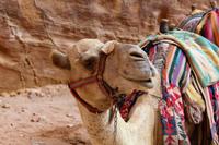 148 – Petra