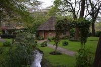 Arusha  Lodge 2