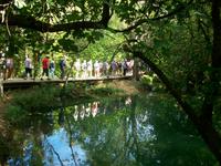 Eberhardt - Reisegruppe im Krka Nationalpark 