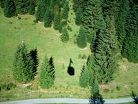 Zum Walmendinger Horn