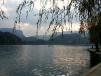 Bled