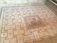 Bodenmosaiken Haus des Dionysos