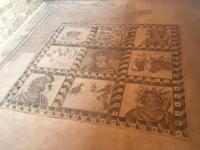 Bodenmosaiken Haus des Dionysos