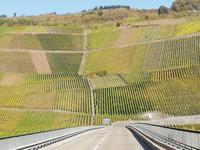 Fahrt entlang der Weinhänge