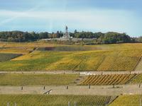 Blick zum Niederwalddenkmal