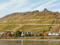 Schifffahrt auf dem Rhein