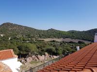 Grüne Waldhügel umringen ein Hochplateau, ein Acker für die klösterliche Landwirtschaft