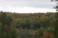 Algonquin-Nationalpark