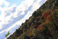 Algonquin-Nationalpark