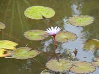 053 Madagaskar -  Ranomafana