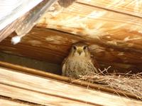 120 Madagaskar - Unterwegs nach Tulear - Arboretum Antsokay