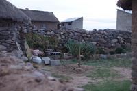 Garten und Handpflug