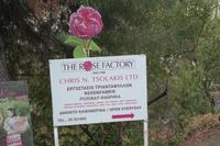 Rosenmanufaktur in Agros