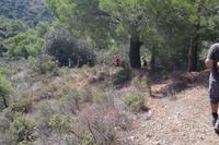 ...mal wieder bergab