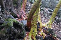 Impression von unterwegs