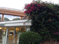 unser Hotel bei Alghero