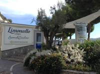 die Limoncellofabrik