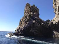 vor Capri