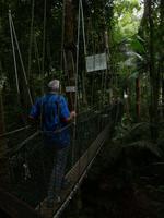 Bergwipfelpfad National Park Malaysia