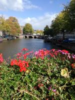 Stadtrundgang in Amsterdam