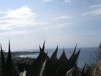 Ausblick von den botanischen Gärten 