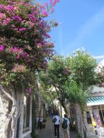 in den kleinen Gassen von Capri