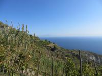 Wanderung durch die Weinberge