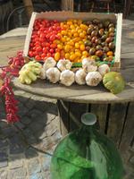 Gemüse- und Gewürzstand in Ischia Ponte