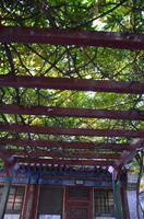 Wohnviertel im Sommerpalast, Peking