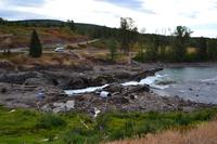 Lachsbeobachtung am Moricetown Canyon
