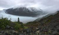 Am Salmon Glacier