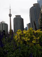 Ost-Kanada zum Indian Summer - Toronto, CN Tower