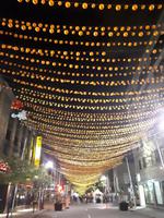 Ost-Kanada zum Indian Summer - Montreal