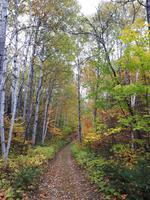 Ost-Kanada zum Indian Summer - Freizeit am Lac Taureau 
