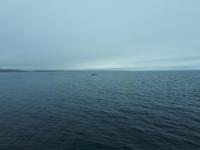 Ost-Kanada zum Indian Summer - Tadoussac, Wahlbeobachtungstour