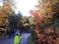 Ost-Kanada zum Indian Summer -  St. Anne Canyon