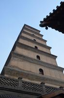 Große Wildganspagode, Xi'an