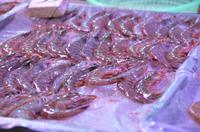 Marktbesuch in Suzhou