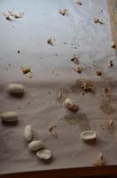 Seidenmanufaktur, Suzhou