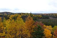 Algonquin Provincial Park - Ausblick vom Besucherzentrum